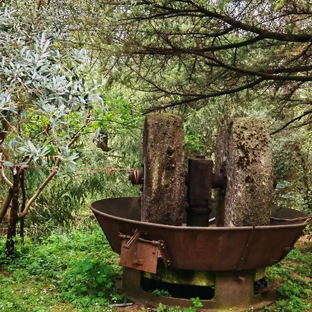 בית הארחה Cascina Silene Castelmarte